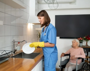 Domestic Services